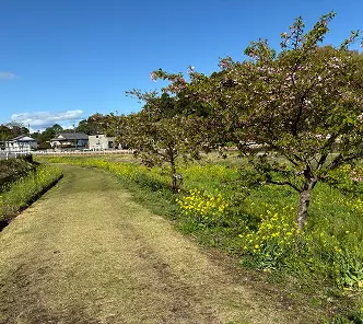 園の１日の流れのイメージ写真