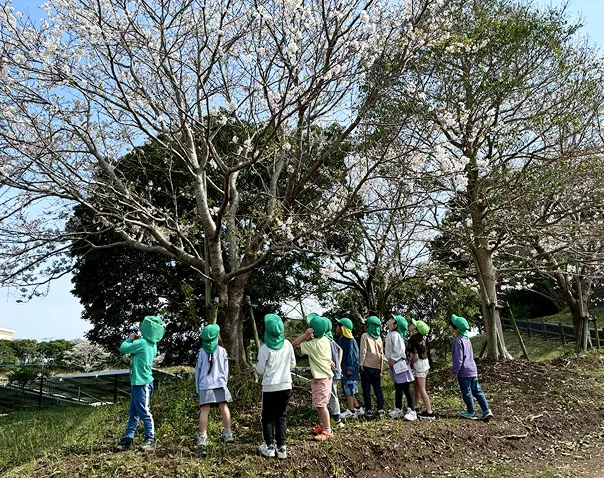 たいようこども園のイメージ写真