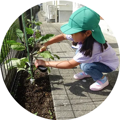 食育のイメージ写真