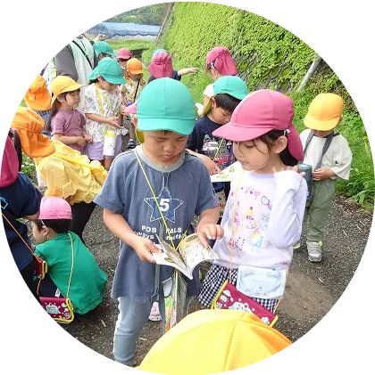 園外保育のイメージ写真